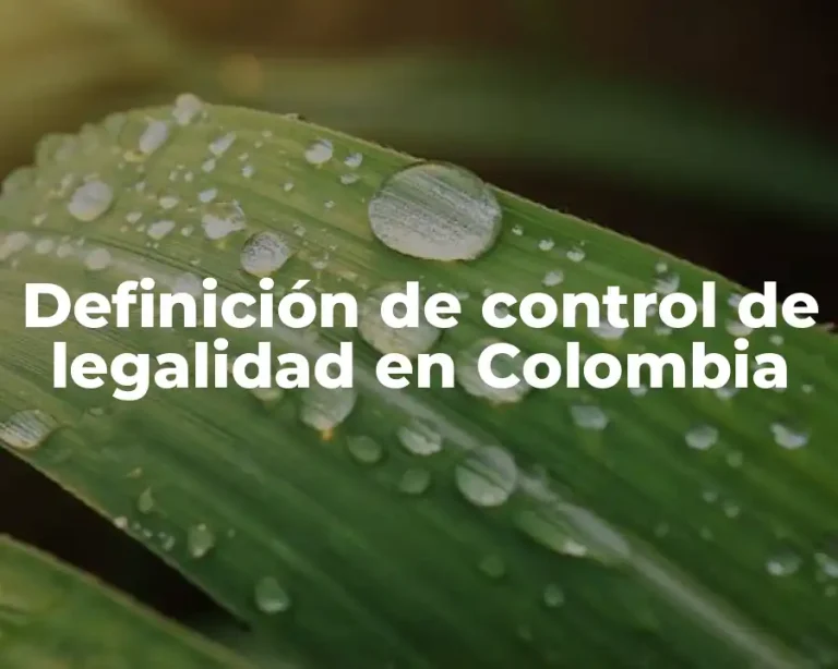 Definición de control de legalidad en Colombia