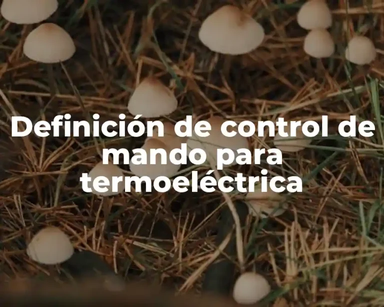 Definición de control de mando para termoeléctrica