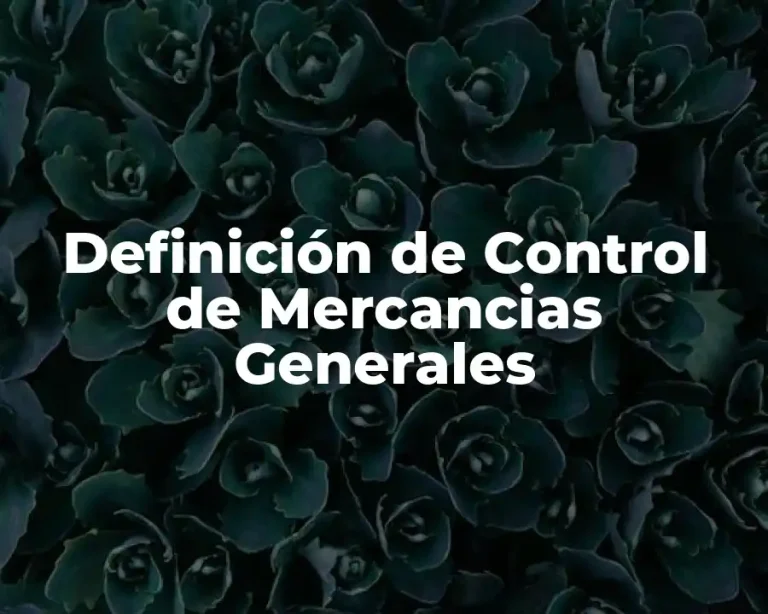 Definición de Control de Mercancias Generales