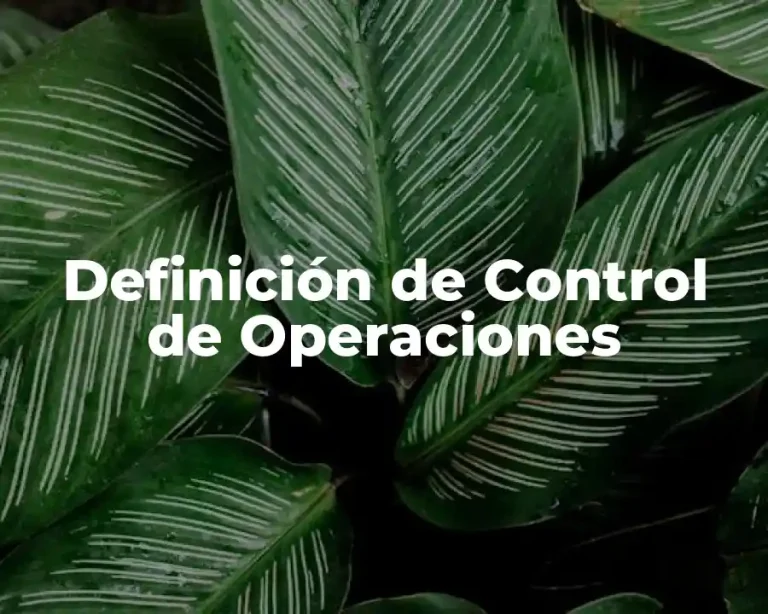 Definición de Control de Operaciones