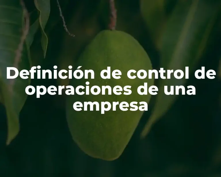 Definición de control de operaciones de una empresa