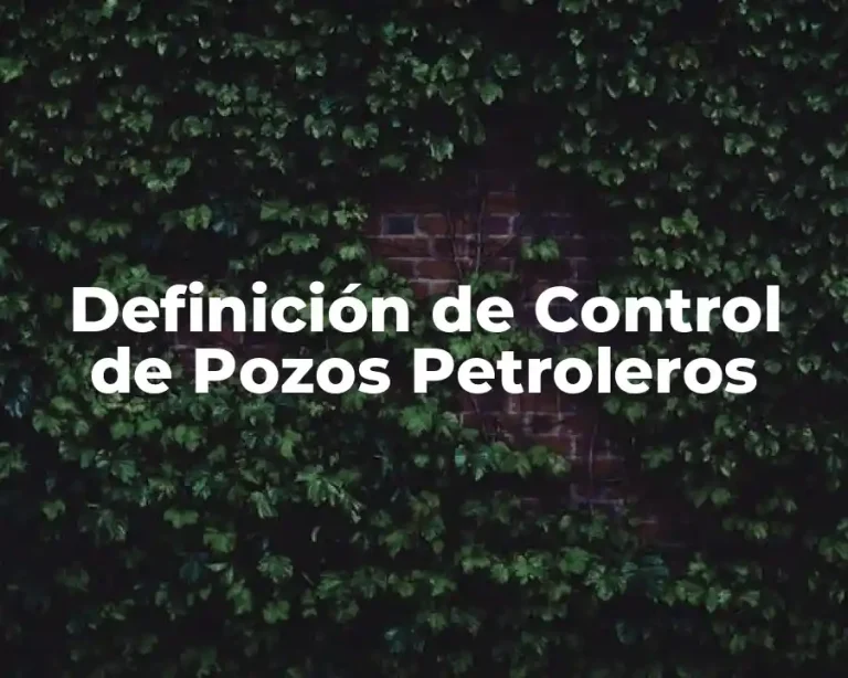 Definición de Control de Pozos Petroleros