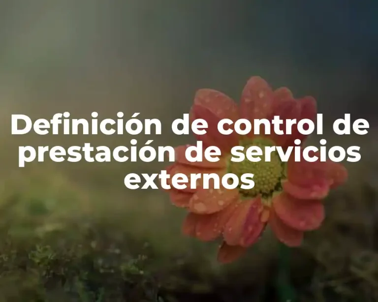 Definición de control de prestación de servicios externos
