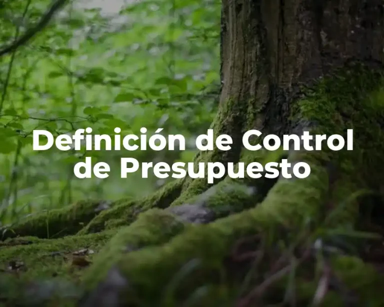 Definición de Control de Presupuesto