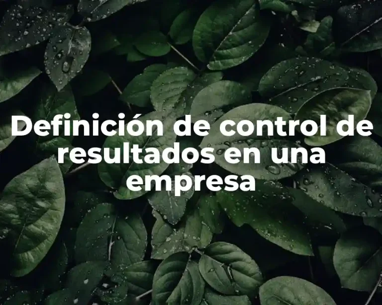 Definición de control de resultados en una empresa