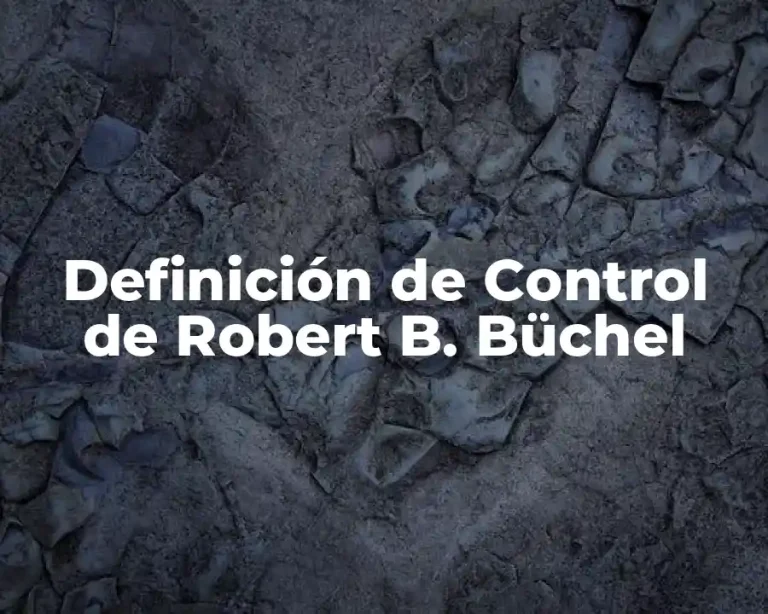 Definición de Control de Robert B. Büchel