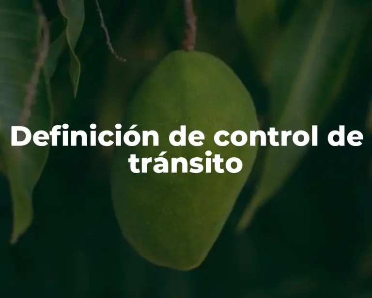 Definición de control de tránsito
