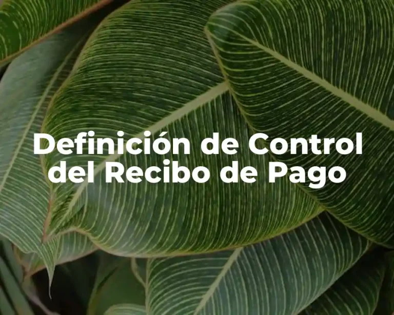 Definición de Control del Recibo de Pago