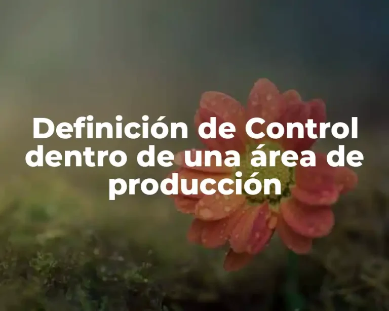 Definición de Control dentro de una área de producción