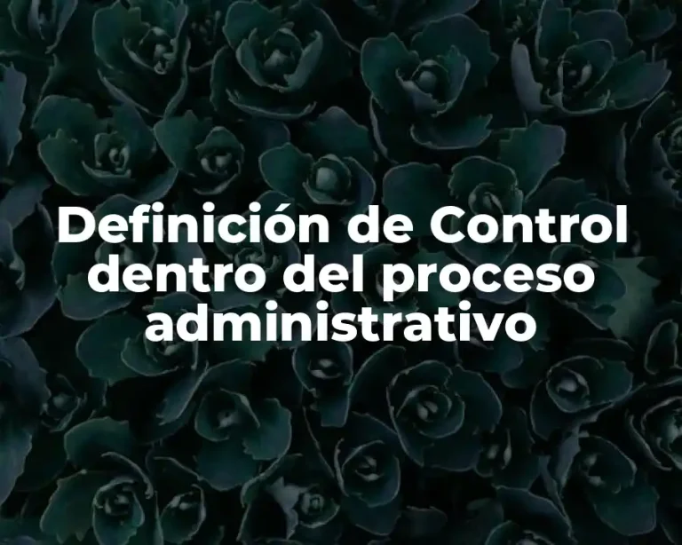 Definición de Control dentro del proceso administrativo