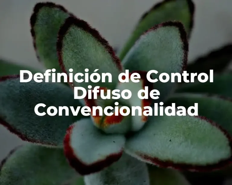 Definición de Control Difuso de Convencionalidad