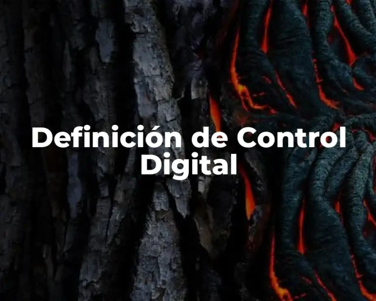 Definición de Control Digital