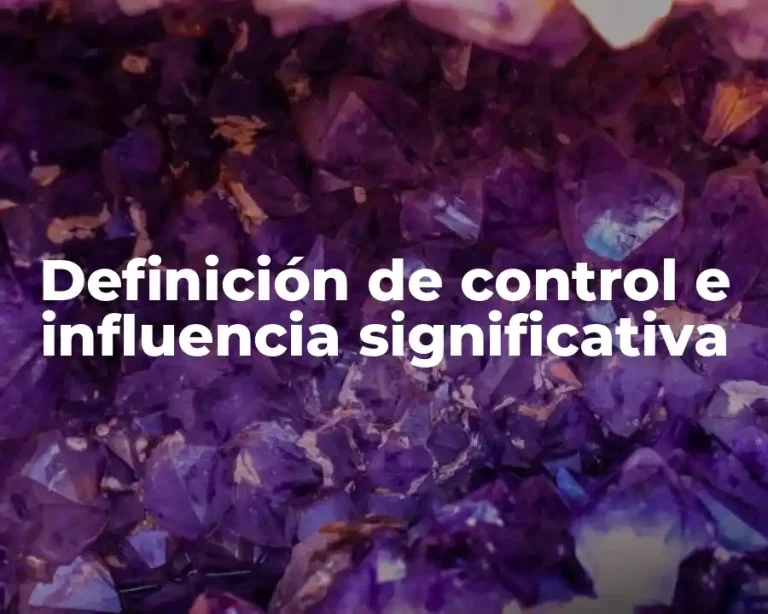 Definición de control e influencia significativa