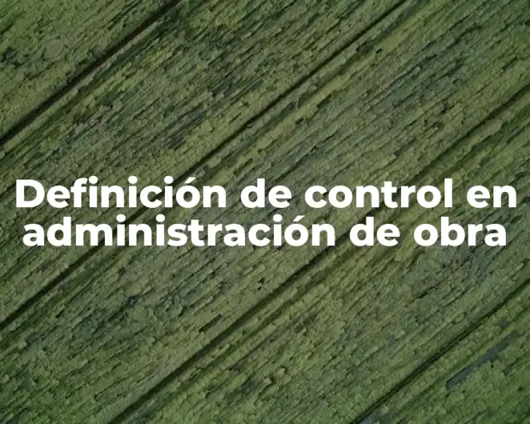 Definición de control en administración de obra