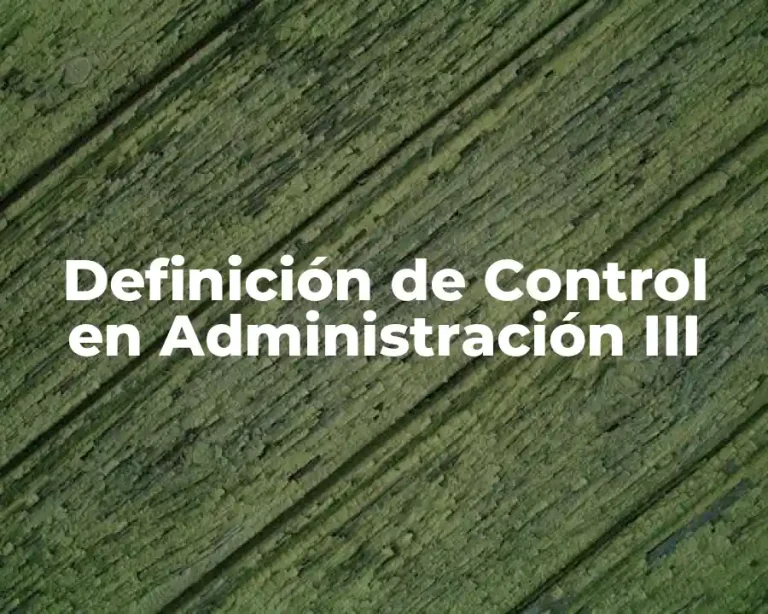 Definición de Control en Administración III