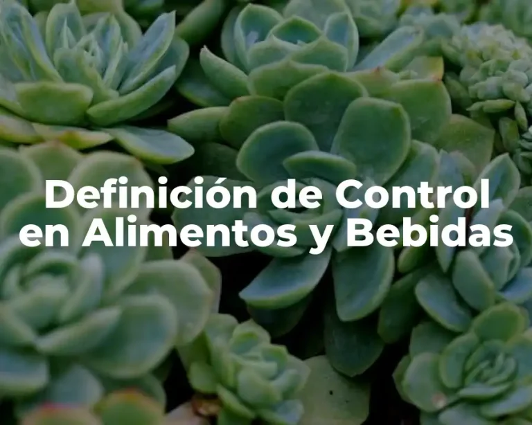 Definición de Control en Alimentos y Bebidas