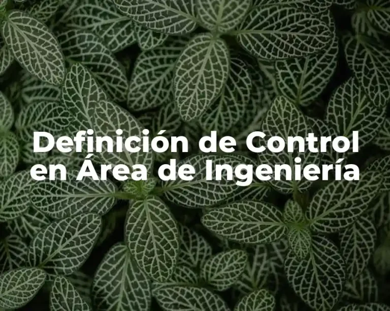 Definición de Control en Área de Ingeniería