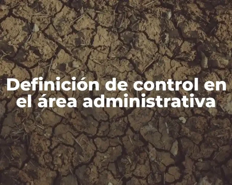 Definición de control en el área administrativa
