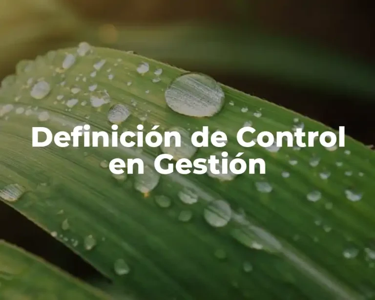 Definición de Control en Gestión
