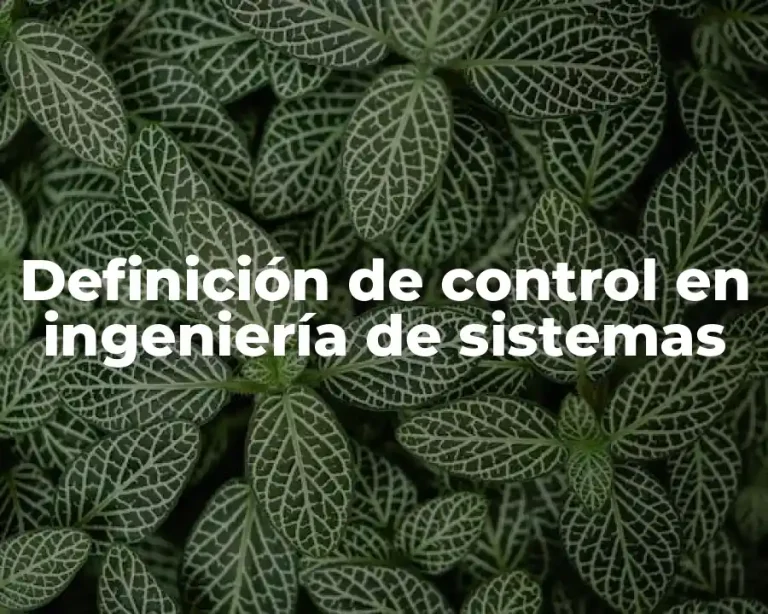 Definición de control en ingeniería de sistemas