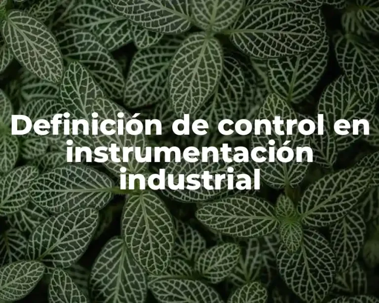 Definición de control en instrumentación industrial
