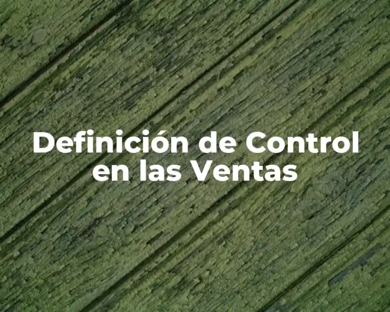 Definición de Control en las Ventas