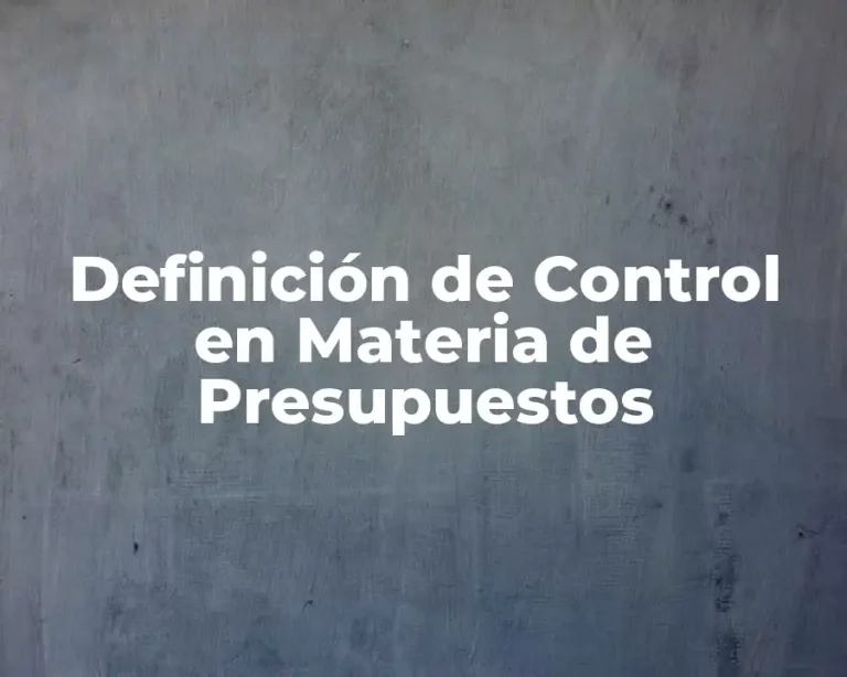 Definición de Control en Materia de Presupuestos