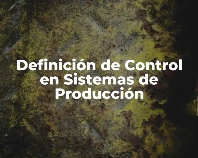 Definición de Control en Sistemas de Producción
