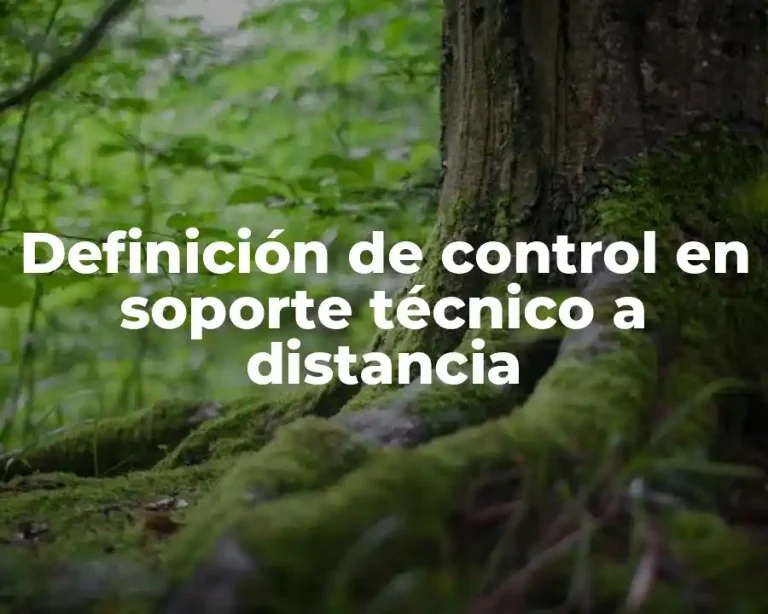 Definición de control en soporte técnico a distancia