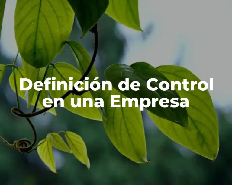 Definición de Control en una Empresa
