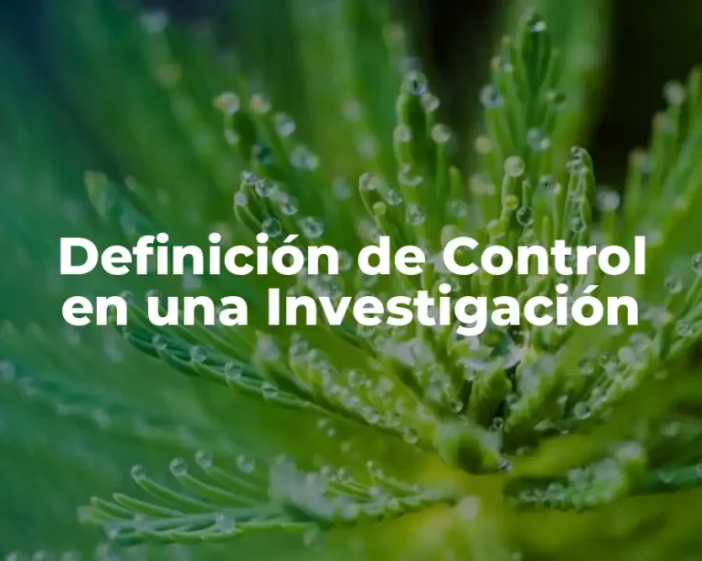 Definición de Control en una Investigación