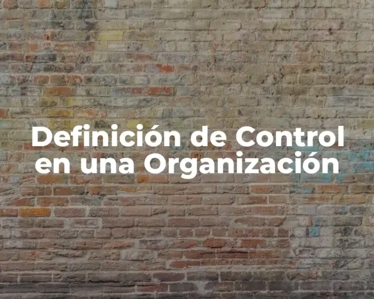 Definición de Control en una Organización