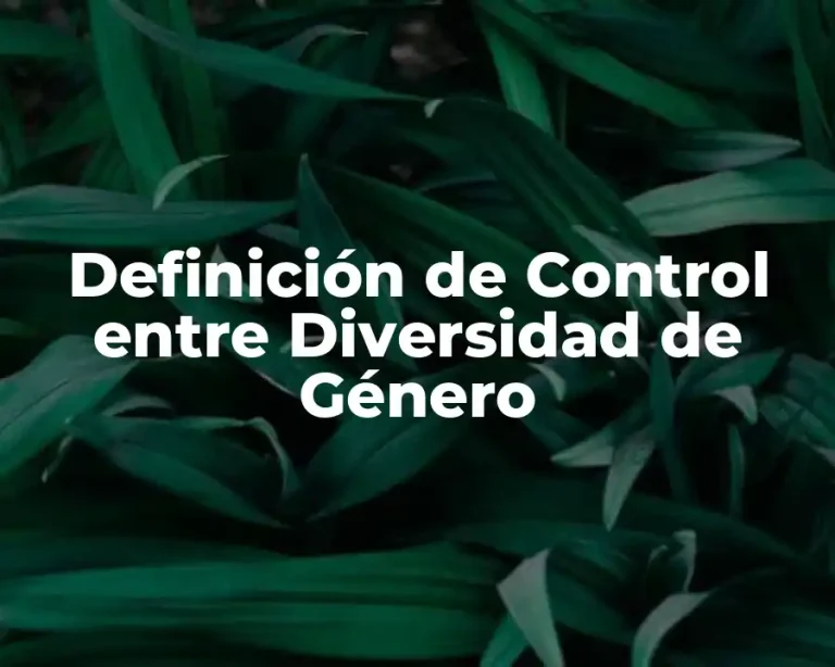 Definición de Control entre Diversidad de Género