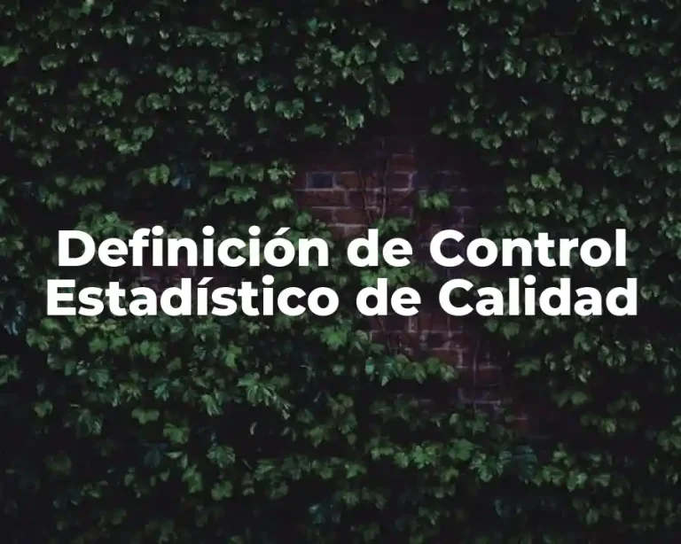 Definición de Control Estadístico de Calidad