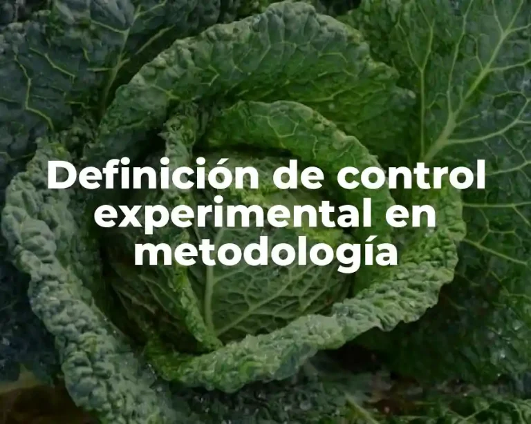 Definición de control experimental en metodología