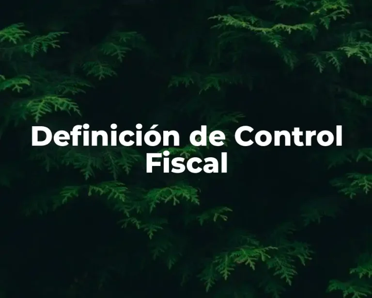 Definición de Control Fiscal