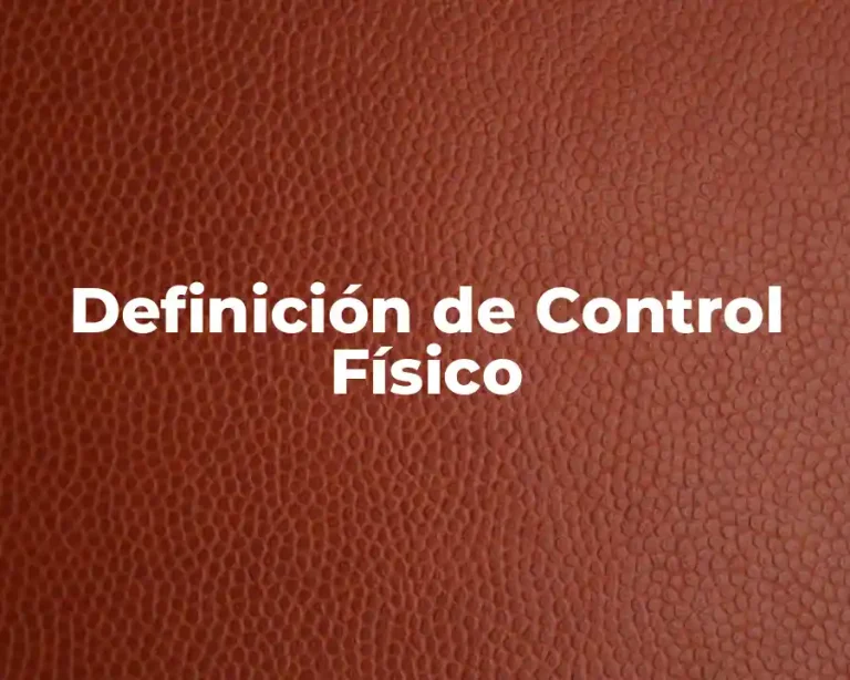 Definición de Control Físico