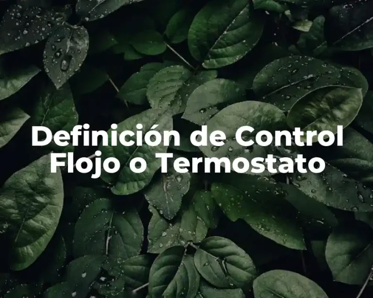 Definición de Control Flojo o Termostato