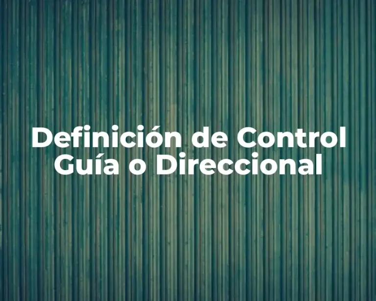 Definición de Control Guía o Direccional