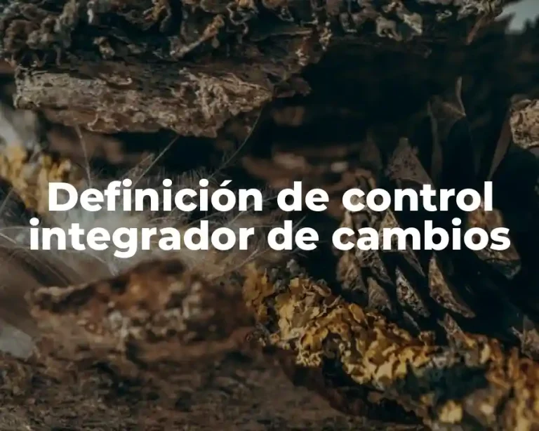 Definición de control integrador de cambios