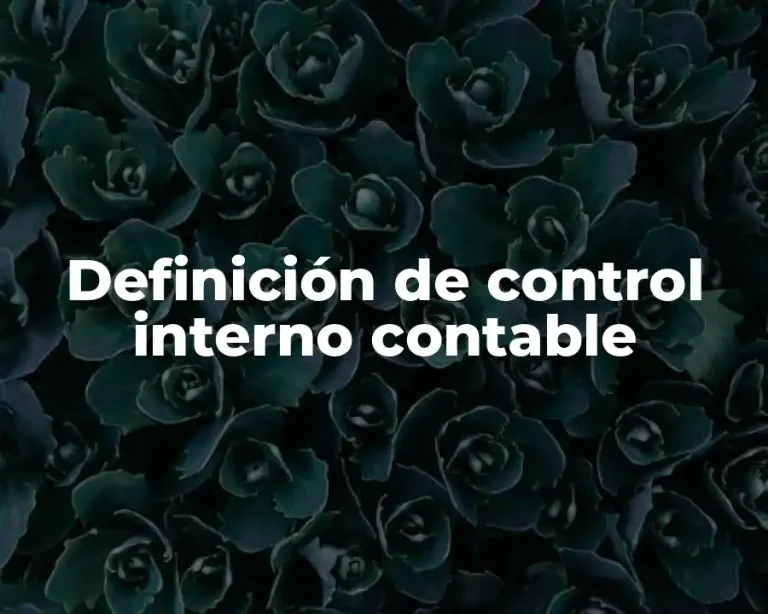 Definición de control interno contable
