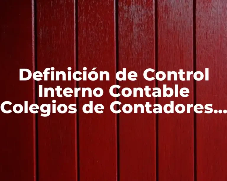 Definición de Control Interno Contable Colegios de Contadores MX