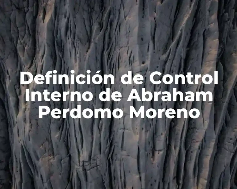 Definición de Control Interno de Abraham Perdomo Moreno