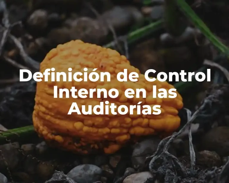 Definición de Control Interno en las Auditorías