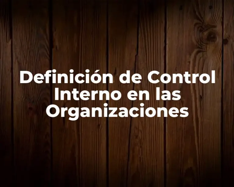 Definición de Control Interno en las Organizaciones