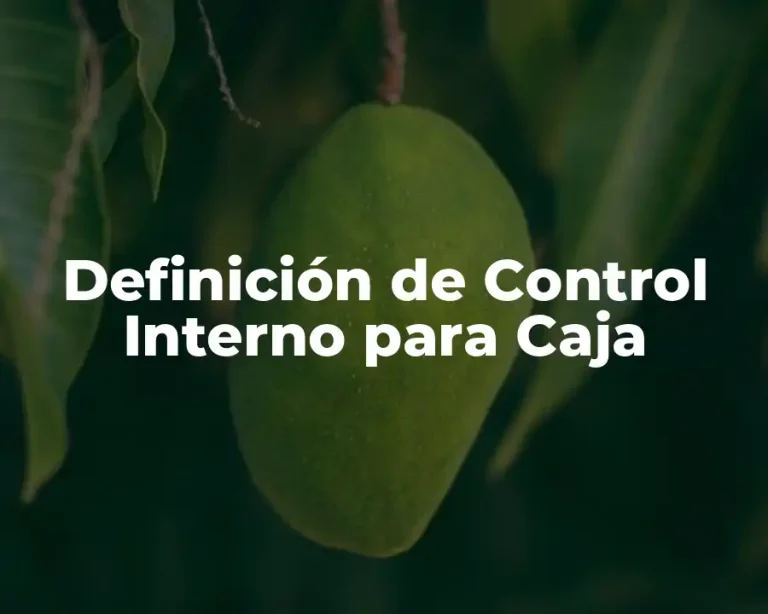 Definición de Control Interno para Caja