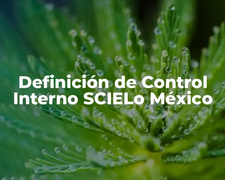 Definición de Control Interno SCIELo México