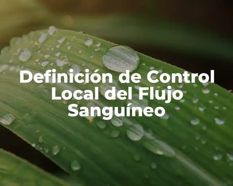 Definición de Control Local del Flujo Sanguíneo