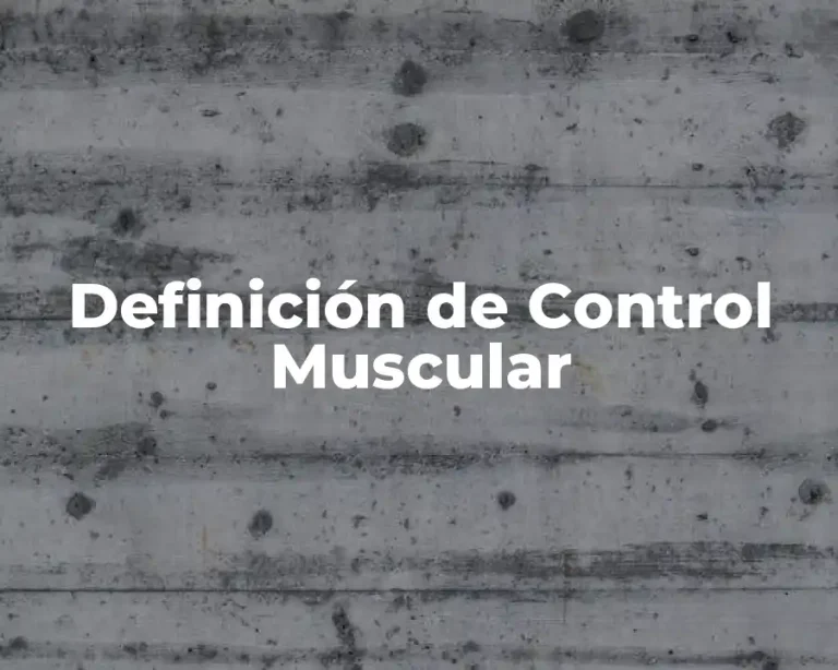 Definición de Control Muscular