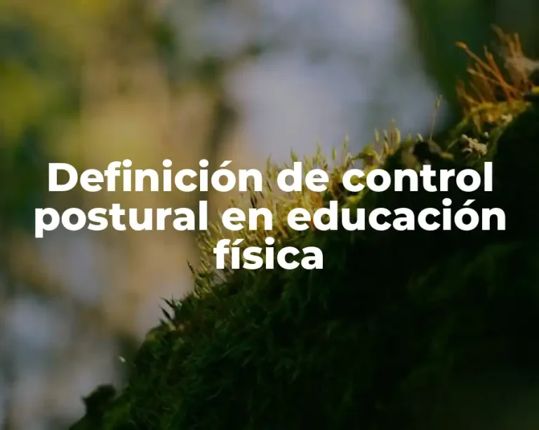 Definición de control postural en educación física